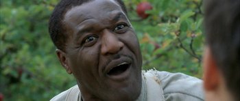 Movie still from “The Cider House Rules” (1999), directed by Lasse Hallström – A man's face in a field; Close Up shot, Low angle