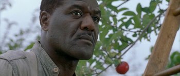 Movie still from “The Cider House Rules” (1999), directed by Lasse Hallström – A man's face in front of an apple tree; Close Up shot, Low angle