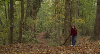 Movie still from “Petite Maman” (2021), directed by Céline Sciamma – Extreme Wide shot, High angle
