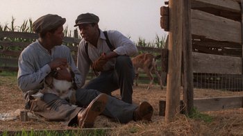Movie still from “The Color Purple” (1985), directed by Steven Spielberg – Two men sitting on the ground with a goat; Medium shot, Over the shoulder angle