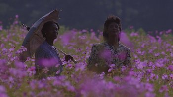 Movie still from “The Color Purple” (1985), directed by Steven Spielberg – Two older women are standing in a field of purple flowers; Extreme Wide shot, Low angle