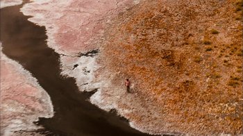 Movie still from “The Constant Gardener” (2005), directed by Fernando Meirelles – A person standing on a beach next to a body of water; Extreme Wide shot, Overhead angle