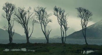Movie still from “The Danish Girl” (2015), directed by Tom Hooper – A group of trees in a field near a body of water; Extreme Wide shot, Low angle
