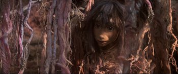 Movie still from “The Dark Crystal” (1982), directed by Frank Oz – A young girl's face in a forest; Extreme Close Up shot, High angle