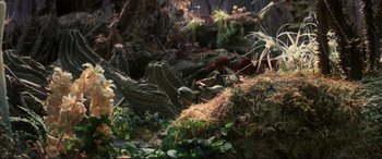Movie still from “The Dark Crystal” (1982), directed by Frank Oz – Plants in a jungle setting; Wide shot, High angle