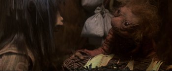 Movie still from “The Dark Crystal” (1982), directed by Frank Oz – An image of a person sitting in a basket on the ground; Close Up shot, Over the shoulder angle