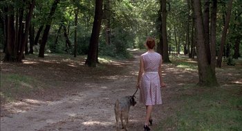 Movie still from “The Day of the Jackal” (1973), directed by Fred Zinnemann – A woman walking a dog in a wooded area; Wide shot, High angle