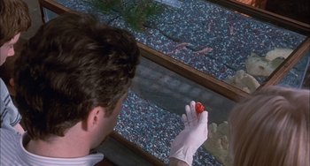 Movie still from “The Faculty” (1998), directed by Robert Rodriguez – A man and a woman are looking at a fish tank; Extreme Close Up shot, High angle