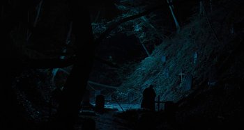 Movie still from “The Field Guide to Evil” (2018), directed by Can Evrenol – A person standing in the dark next to a tree; Extreme Wide shot, High angle