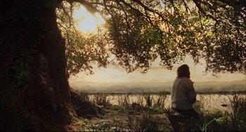 Movie still from “The Fountain” (2006), directed by Darren Aronofsky – A woman sitting under a tree looking out over a lake; Extreme Wide shot, Over the shoulder angle