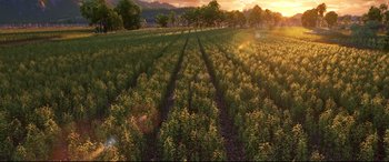 Movie still from “The Good Dinosaur” (2015), directed by Peter Sohn – An aerial view of an open field with trees in the background; Extreme Wide shot, High angle