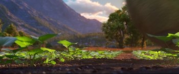 Movie still from “The Good Dinosaur” (2015), directed by Peter Sohn – Some plants growing in a field; Extreme Wide shot, Low angle