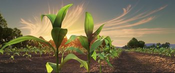 Movie still from “The Good Dinosaur” (2015), directed by Peter Sohn – A group of plants growing in the middle of a field at sunset; Extreme Wide shot, Low angle