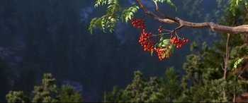 Movie still from “The Good Dinosaur” (2015), directed by Peter Sohn – A branch of a tree with red berries on it; Extreme Wide shot, Low angle