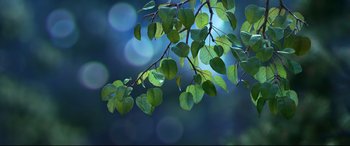 Movie still from “The Good Dinosaur” (2015), directed by Peter Sohn – A tree branch with green leaves on it; Extreme Close Up shot, Low angle
