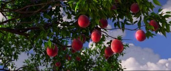 Movie still from “The Good Dinosaur” (2015), directed by Peter Sohn – Many peaches hanging from a tree; Extreme Close Up shot, Low angle