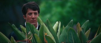 Movie still from “The Graduate” (1967), directed by Mike Nichols – A man in a suit standing behind a bunch of green plants; Close Up shot, Low angle