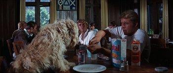 Movie still from “The Graduate” (1967), directed by Mike Nichols – A man sitting at a dinner table with a dog; Medium shot, Over the shoulder angle