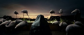 Movie still from “The Great Beauty” (2013), directed by Paolo Sorrentino – A person wearing a black robe sitting in front of flamingos at dusk; Wide shot, Low angle