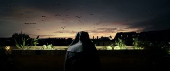 Movie still from “The Great Beauty” (2013), directed by Paolo Sorrentino – A person with a backpack looking out at a flock of birds; Wide shot, Low angle