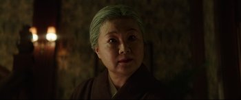 Movie still from “The Handmaiden” (2016), directed by Park Chan-wook – An older asian woman with green hair looking at the camera; Close Up shot, Low angle