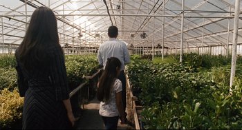 Movie still from “The Happening” (2008), directed by M. Night Shyamalan – A man and a girl are walking through a greenhouse; Wide shot, Over the shoulder angle