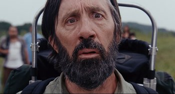 Movie still from “The Happening” (2008), directed by M. Night Shyamalan – A person with long hair and a beard; Close Up shot, Low angle