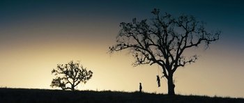 Movie still from “The Hero” (2017), directed by Brett Haley – A person on a swing in the middle of a field at sunset; Extreme Wide shot, Low angle