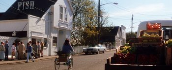 Movie still from “Practical Magic” (1998), directed by Griffin Dunne – A woman riding a bike down a street past a white house; Extreme Wide shot, Over the shoulder angle