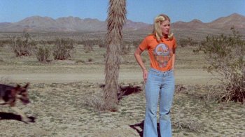 Movie still from “The Hills Have Eyes” (1977), directed by Wes Craven – A woman standing next to a palm tree in the desert; Wide shot, Low angle