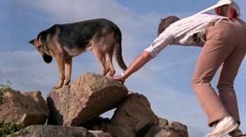 Movie still from “The Hills Have Eyes” (1977), directed by Wes Craven – A man and a dog on top of a rock; Wide shot, Low angle