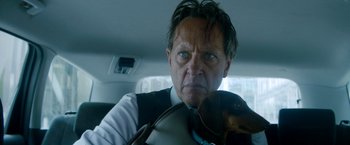 Movie still from “The Hitman's Bodyguard” (2017), directed by Patrick Hughes – A man in a car holding a violin in his hand; Close Up shot, Low angle