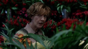 Movie still from “The Hours” (2002), directed by Stephen Daldry – A woman standing next to a bunch of red flowers; Close Up shot, Over the shoulder angle