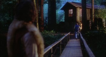 Movie still from “The Howling” (1981), directed by Joe Dante – A person walking down a path in the woods; Wide shot, Low angle