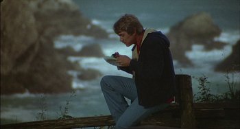 Movie still from “The Howling” (1981), directed by Joe Dante – A man sitting on top of a wooden fence; Wide shot, High angle