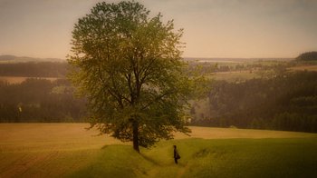 Movie still from “The Illusionist” (2006), directed by Neil Burger – A person standing in a field next to a large tree; Extreme Wide shot, High angle
