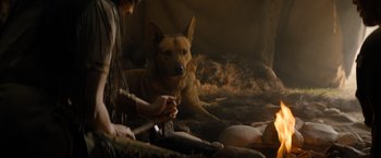 Movie still from “Prey” (2022), directed by Dan Trachtenberg – Close Up shot, High angle