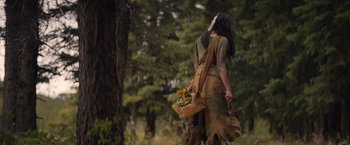 Movie still from “Prey” (2022), directed by Dan Trachtenberg – Wide shot, Over the shoulder angle