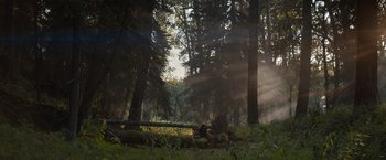 Movie still from “Prey” (2022), directed by Dan Trachtenberg – Extreme Wide shot, Low angle