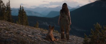 Movie still from “Prey” (2022), directed by Dan Trachtenberg – Wide shot, Over the shoulder angle