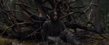 Movie still from “Prey” (2022), directed by Dan Trachtenberg – Medium shot, High angle