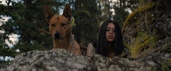 Movie still from “Prey” (2022), directed by Dan Trachtenberg – Medium shot, Low angle