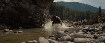 Movie still from “Prey” (2022), directed by Dan Trachtenberg – Extreme Wide shot, High angle