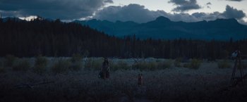 Movie still from “Prey” (2022), directed by Dan Trachtenberg – Extreme Wide shot, High angle