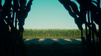 Movie still from “The Informant!” (2009), directed by Steven Soderbergh – A view of a corn field through a window; Extreme Wide shot, Low angle
