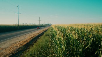 Movie still from “The Informant!” (2009), directed by Steven Soderbergh – A car driving down a road next to a field of corn; Extreme Wide shot, High angle