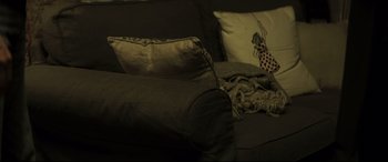 Movie still from “The Invisible Guest” (2016), directed by Oriol Paulo – A black couch with pillows on top of it; Extreme Close Up shot, High angle
