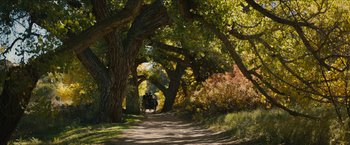Movie still from “The Kid” (2019), directed by Vincent D'Onofrio – A person riding a horse down a dirt path through trees; Extreme Wide shot, High angle