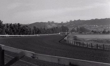 Movie still from “The Killing” (1956), directed by Stanley Kubrick – A black - and - white photo of a horse race track; Extreme Wide shot, High angle