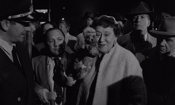 Movie still from “The Killing” (1956), directed by Stanley Kubrick – An old photo of a woman and a man holding a dog; Medium shot, High angle